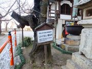 ���ڂ炳��̋I�O�䎛�̍��̓��e�ʐ^1