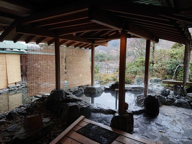 �I�V���C_������