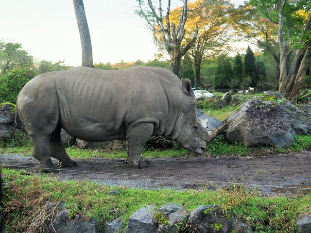 �T�C_�x�m�T�t�@���p�[�N