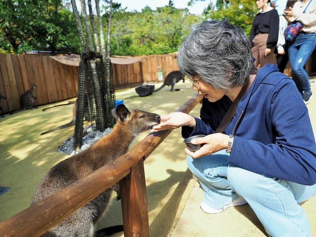 �a����
_�x�m�T�t�@���p�[�N