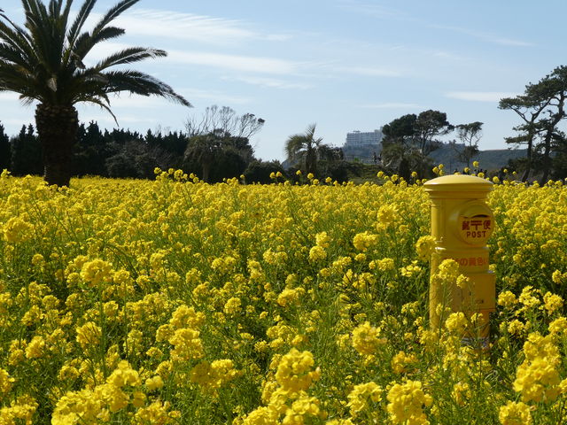 ^bN̈ɗǌ΍؂̉ԃK[f̓eʐ^6