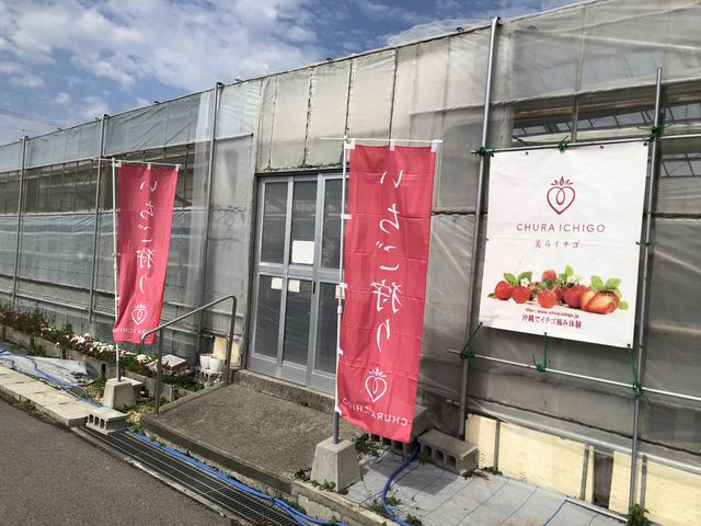 �_���̓����_����C�`�S�@�����n�E�X