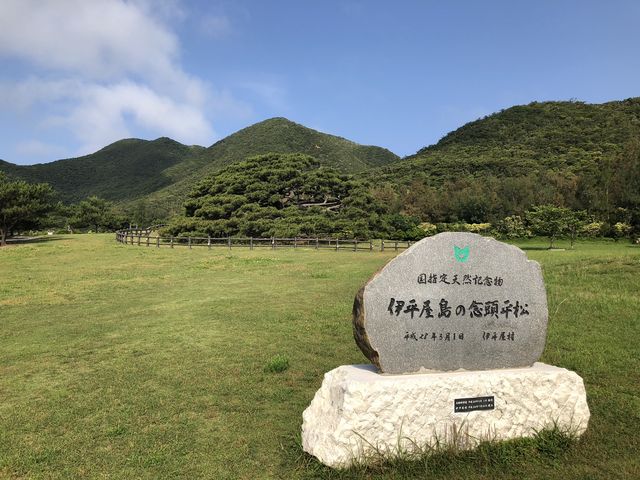 手入れはされてます_伊平屋島