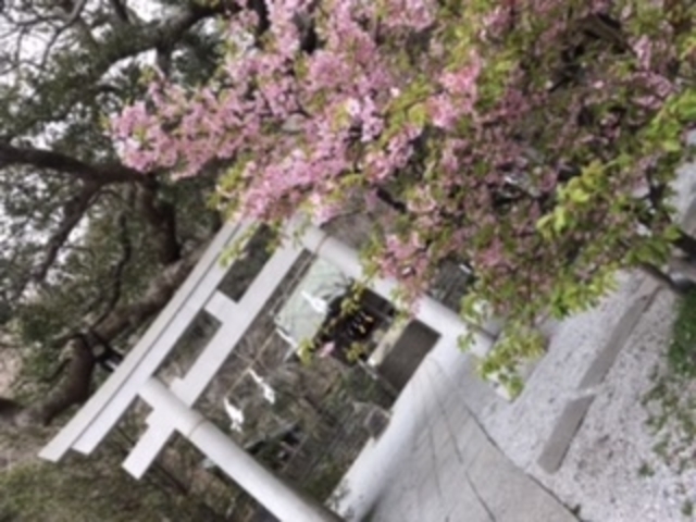 �A�蓹�ɒ��J�w�̘H�n�ɂ���]�m�d�̐��H�̍ۂɂ�����_�ЂցB
���q�����_�̕��\�����J���Ă���_�ЁB_���q���J�@�x��