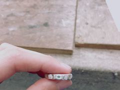 ܂܂䂳̑nH[AgGEgւ̓eʐ^1