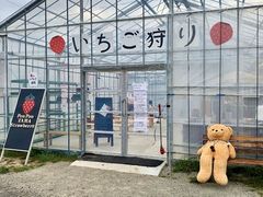 Ẽ||RXgx[(Pon Pon YAMA Strawberry)ւ̓eʐ^2