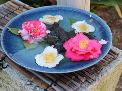 ȂȂ񂳂̌_Ђւ̓eʐ^1