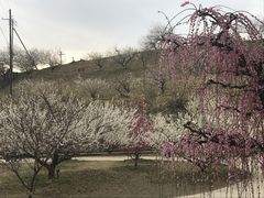 ܁`􂳂̌P~тւ̓eʐ^1