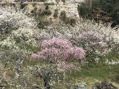 ܁`􂳂̌P~тւ̓eʐ^2