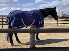 Chrome Hearts̃wiEXgx[hւ̓eʐ^4