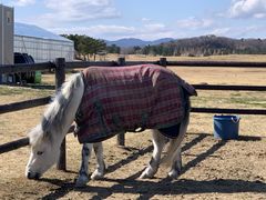 Chrome Hearts̃wiEXgx[hւ̓eʐ^5