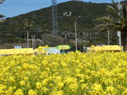 ^bN̈ɗǌ΍؂̉ԃK[f̓eʐ^5