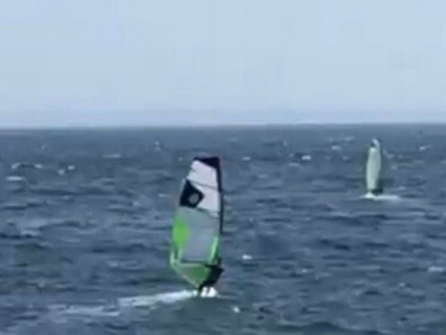 ����ȃv���[�j���O�ł���_�O�Y�E�C���h�T�[�t�B���X�N�[���@�V�����E���[�t�E�B���h�T�[�t