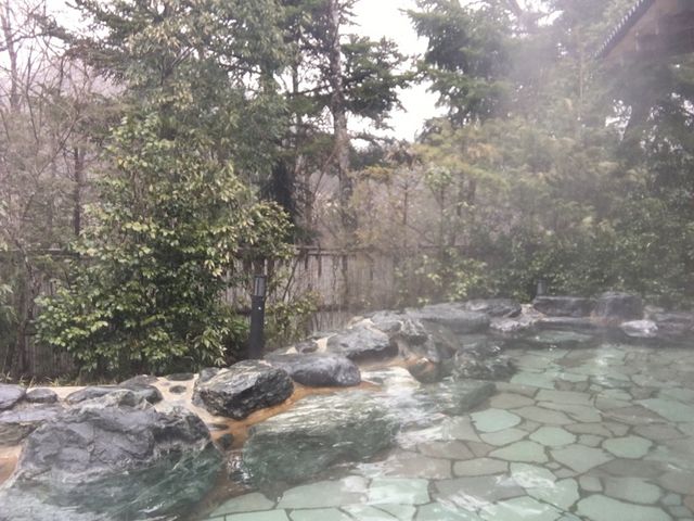 �ʊ٘I�V���C_���H�ۉ���@�z�e�����搅