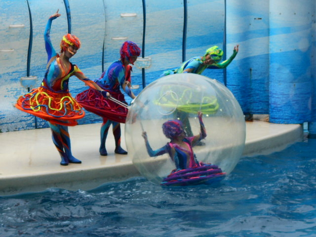 �C���J�V���[_�V�]�m��������