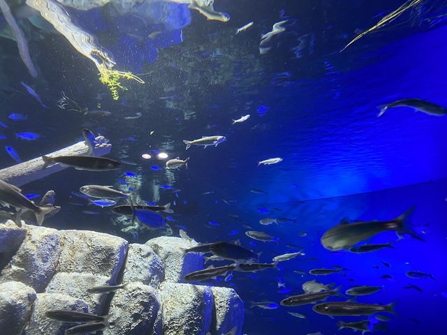 �x┌΂��C���[�W���������B�Y��ł��I�I_�T�P�̂ӂ邳�Ɛ�ΐ�����