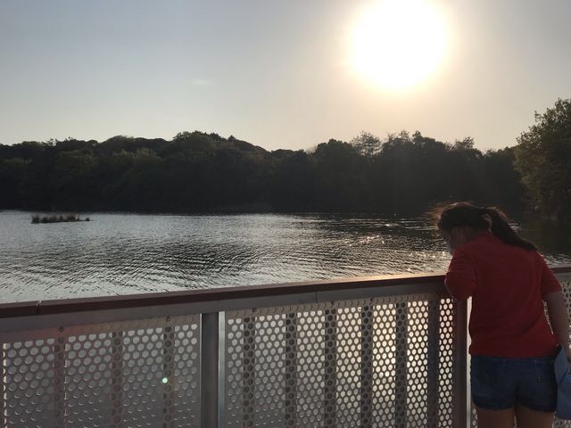 ���̐X�̗[���_���̐X�k��B�S���t�R�[�X