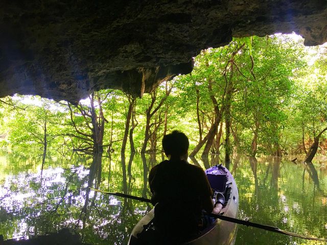 Jk[̌ATS̓A̒@_CHORO