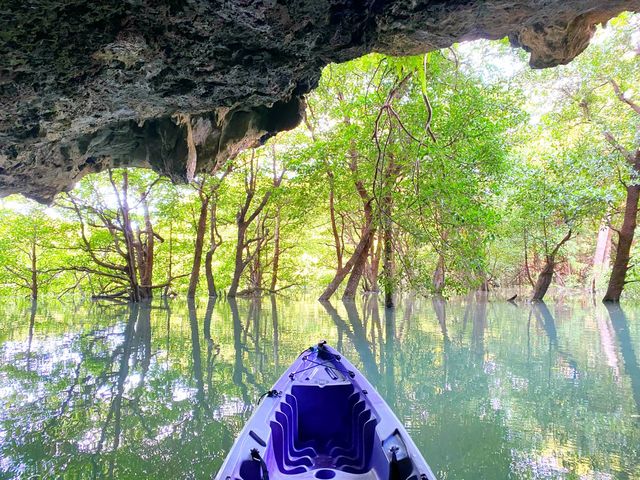 Jk[̌ATS̓A̒A@r݂II_CHORO