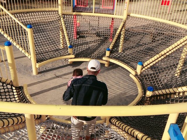 �F�J�X�|�[�c��������