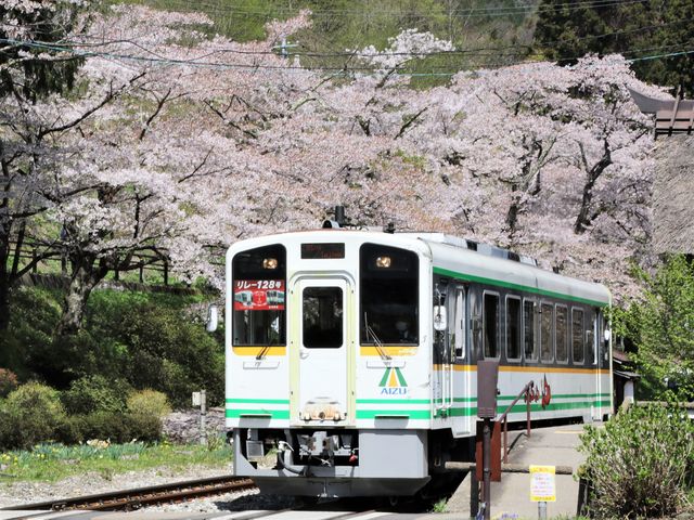 Ƃ񂳂̓㉷wɂ̓eʐ^5