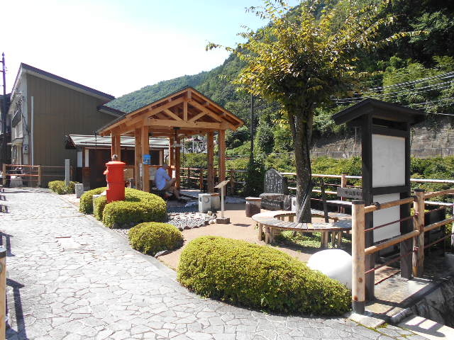 �g�V���[����̖ؑ]��e�������̓��e�ʐ^1