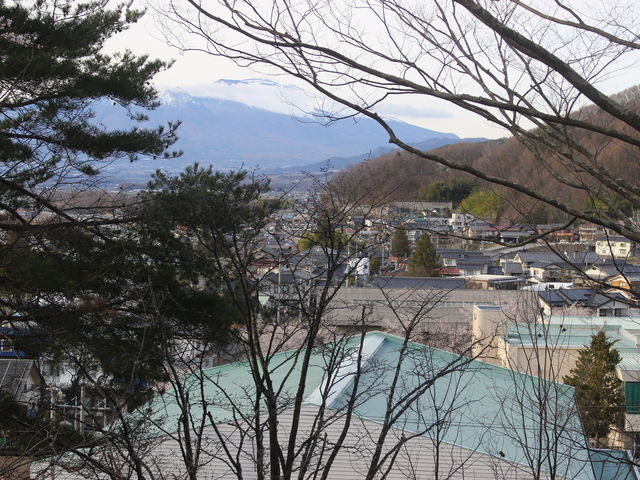 ����������̏H�t�R�̍��̓��e�ʐ^2