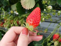 킩̂񂿂ނւ̓eʐ^1