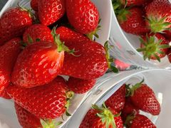 NanâƂ悳t@[ւ̓eʐ^1