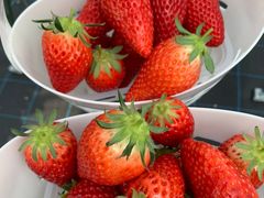 LbglovêƂ悳t@[ւ̓eʐ^1