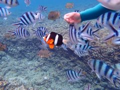 ₳Divingshop Ryoւ̓eʐ^1