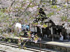 Ƃ񂳂̓㉷wɂւ̓eʐ^1