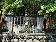 񂳂̋Ti쌧ؑ]j̓eʐ^5