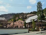 񂳂̋Ti쌧ؑ]j̓eʐ^6