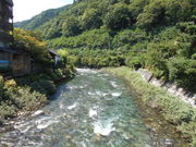 gV[̊RƑ̉ƕ݂̓eʐ^1