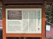 ������񂳂�̎R���㊯���~�̓��e�ʐ^3