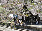 Ƃ񂳂̓㉷wɂ̓eʐ^1