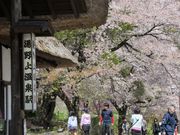 Ƃ񂳂̓㉷wɂ̓eʐ^4