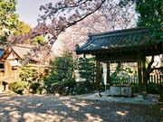 ��������񂳂�̐��a�_�Ђ̓��e�ʐ^3