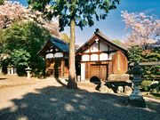 ��������񂳂�̐��a�_�Ђ̓��e�ʐ^4