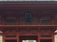 シトラさんの千光寺の五本杉の投稿写真1