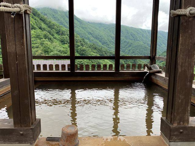 �V���̓W�]���C�B�f���炵�߂��Č������ƂȂ��ł��B_���J���� �哒���@�R�c����