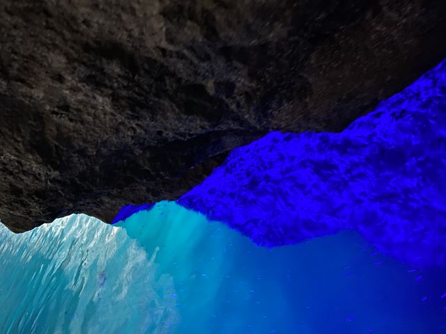 �����x�̂����Y��ȃu���[_���M�̓��A�N���[�Y