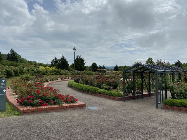 �L������ł��B_����݂�������o����