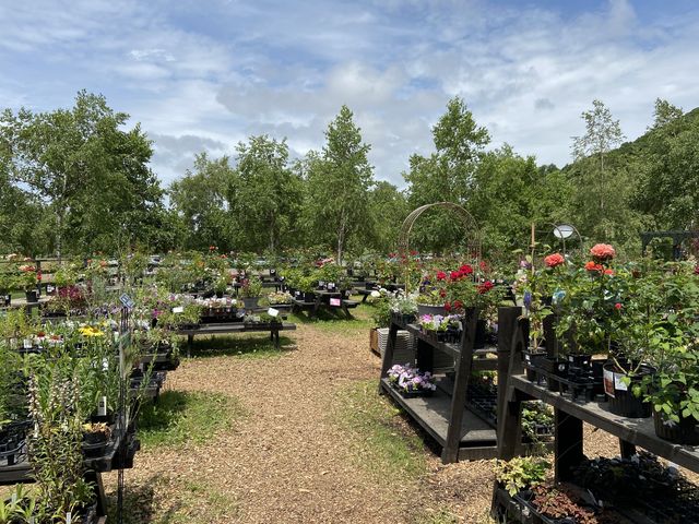 �c�������Ă��܂��B_����݂�������o����