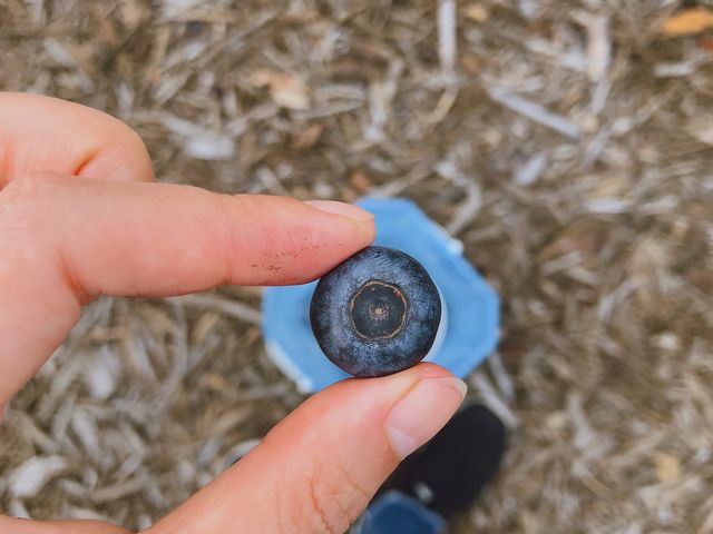 8���͂���ɃT�C�Y�傫���悤�ł�_���ʂ���ӂ��[��