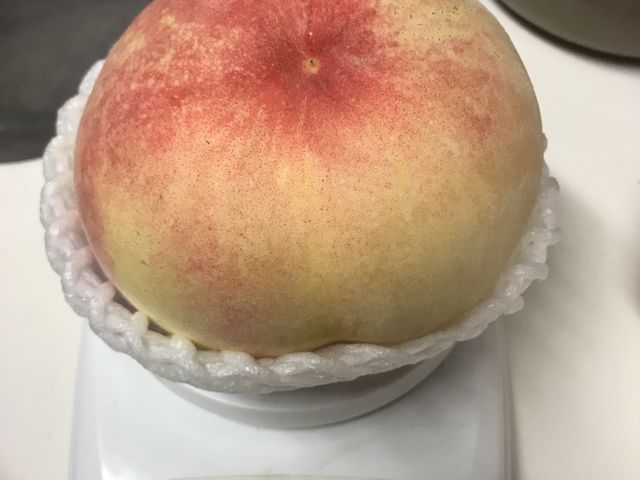 VOOg̓łByY̓ł̑傫͏߂ĂłI_