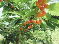 サコ̊]̋u_ւ̓eʐ^1