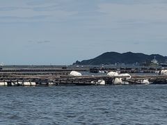 Ⴟ񂳂̒H CN `Dւ̓eʐ^3