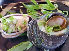 Ⴟ񂳂̒H CN `Dւ̓eʐ^4